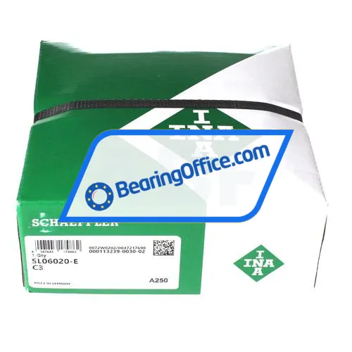 INA SL06020-E-C3 bearing image 4