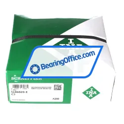 INA SL06020-E-C3 rulman resim 4