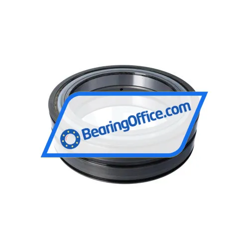 INA SL04190-D-PP bearing image 2