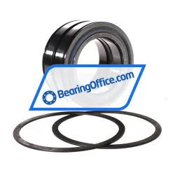 INA SL045016-D-PP-2NR-C3-GA22