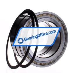 INA SL045026-D-PP-2NR rulman resim 3