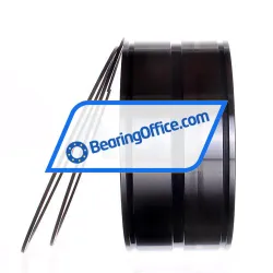 INA SL045026-D-PP-2NR rulman resim 4