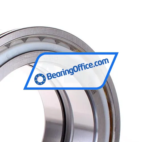 INA SL045032-D-PP bearing image 2