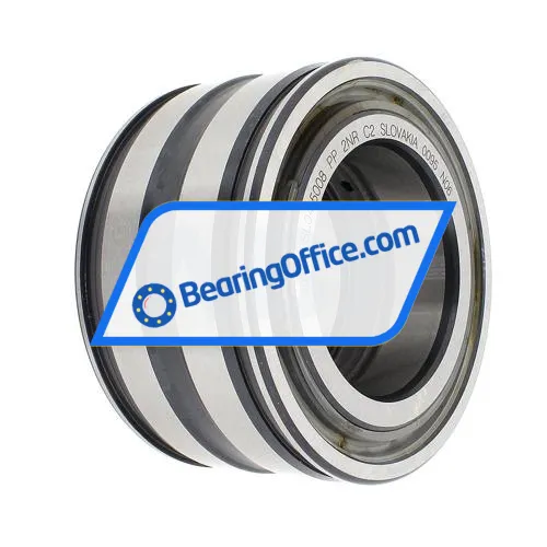 INA SL045008-PP-2NR-C2