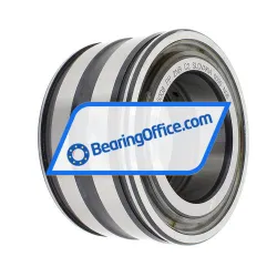 INA SL045008-PP-2NR-C2