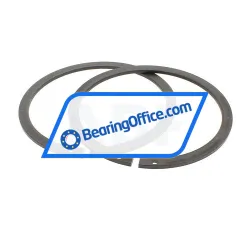 INA SL045008-PP-2NR-C2 rulman resim 2