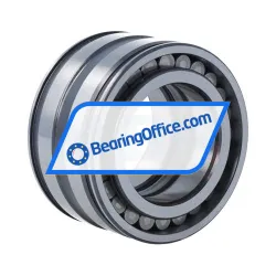 INA SL045008-C4 rulman resim 2