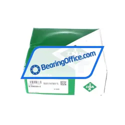 INA SL06020-E rulman resim 2