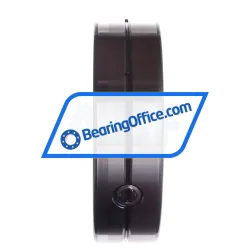 INA SL014920-A rulman resim 3