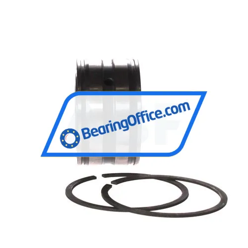 INA SL045007-PP-2NR bearing image 2