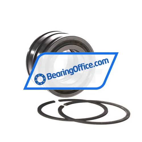 INA SL045007-PP-2NR bearing image 3
