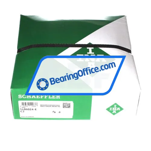 INA SL06024-E-C3 bearing image 3