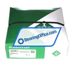 INA SL06024-E-C3 rulman resim 3