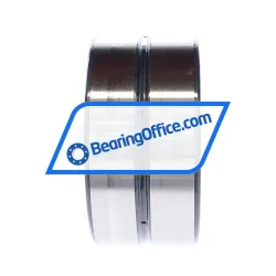 INA SL185018-A-C3 rulman resim 2