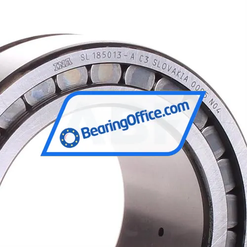 INA SL185013-A-C3 bearing image 2