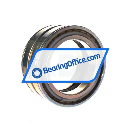 INA SL045020-D-PP-RR bearing image 2