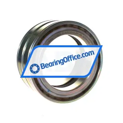 INA SL045020-D-PP-RR