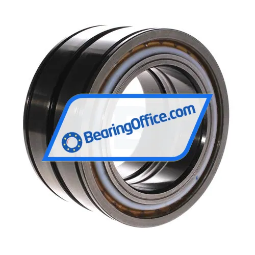 INA SL04100-D-PP bearing image 3