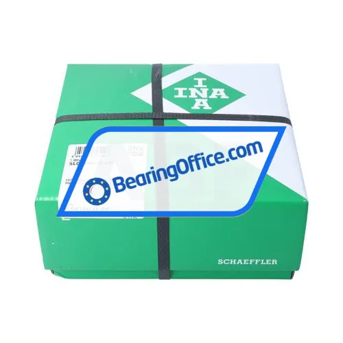 INA SL04100-D-PP bearing image 4