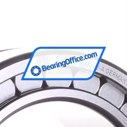 INA SL185022-A rulman resim 2