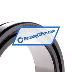 INA SL014928-A-C3 rulman resim 2