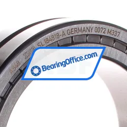 INA SL184918-A rulman resim 2