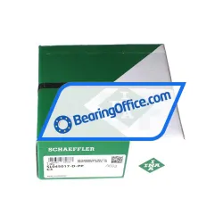 INA SL045017-D-PP-C3 rulman resim 4