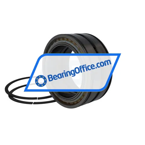 INA SL04130-D-PP-2NR