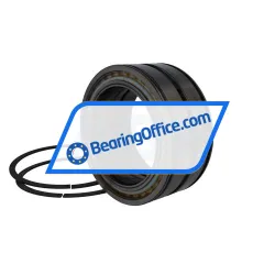 INA SL04130-D-PP-2NR