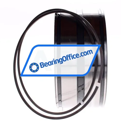 INA SL045022-D-PP-2WR bearing image 2