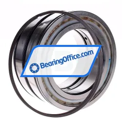 INA SL045022-D-PP-2WR