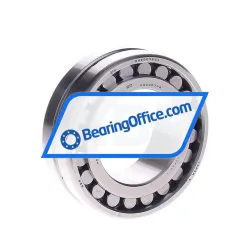 NSK NN3007TBKRE44CC0P4