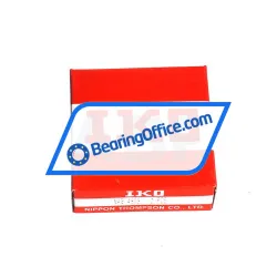 IKO NAG4909 rulman resim 4