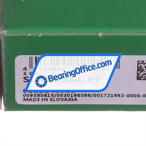 INA SL04-5004PP bearing image 2