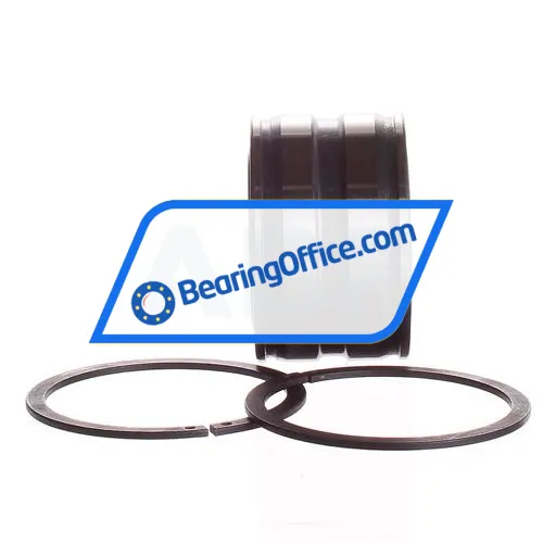 INA SL045005-PP-2NR bearing image 2