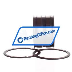 INA SL045005-PP-2NR rulman resim 2