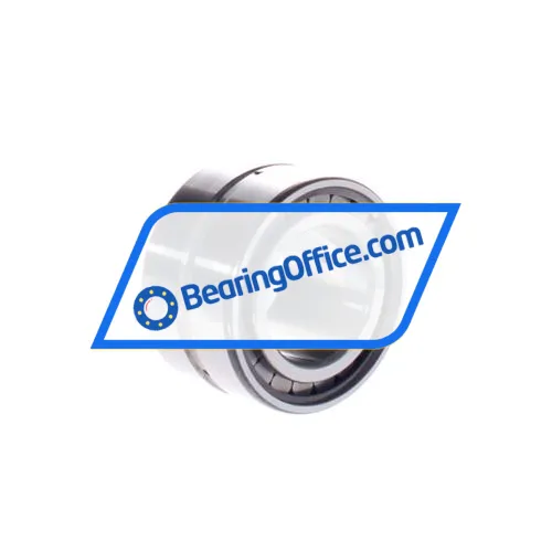 INA SL18-5007A bearing image 2