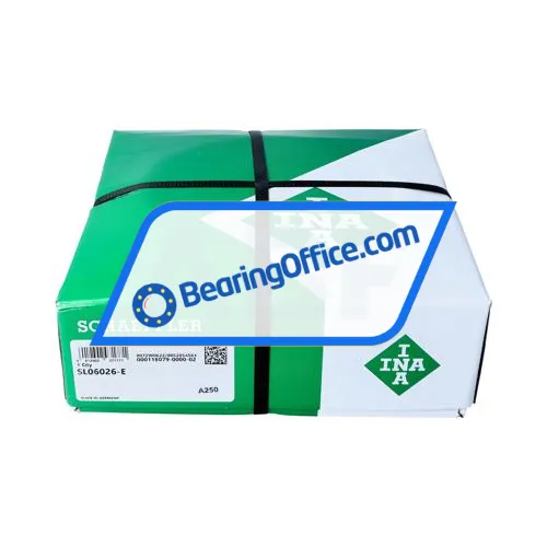 INA SL06026-E bearing image 3