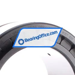 INA SL185020-A-C3-2S rulman resim 2