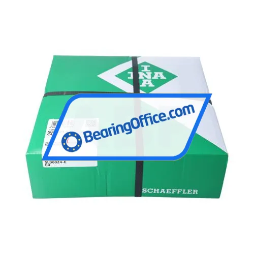 INA SL06024-E-C4 bearing image 3