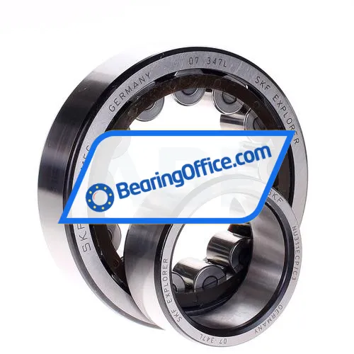 INA SL045018-PP bearing image 2