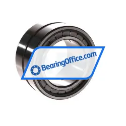 INA SL18-5010A rulman resim 2