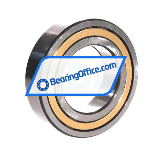 INA SL11918A bearing image 2