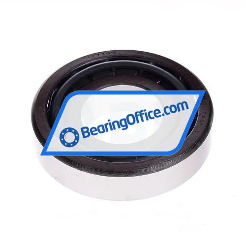 RIV 30309 bearing image 2