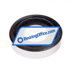 RIV 30309 rulman resim 2