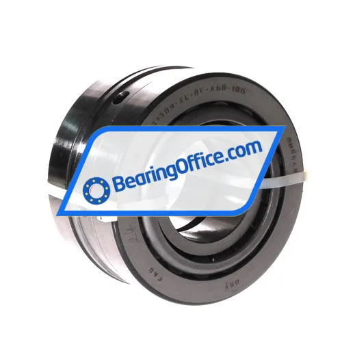 FAG 31309-XL-DF-A60-100