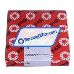 FAG 6017 rulman resim 4