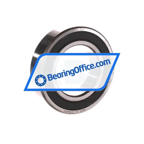 SLF Fraureuth 6007-2RSR-C3-L1041