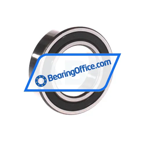 SLF Fraureuth 6007-2RSR-C3-L1041 bearing image 2