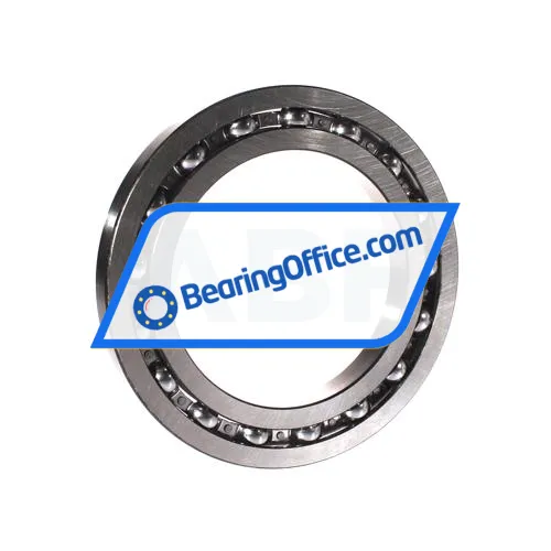 NSK 16024C3 bearing image 2